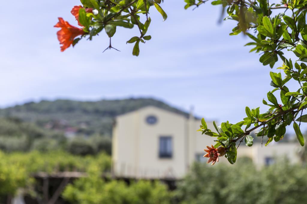 Relais Regina Giovanna Sorrento Exteriör bild
